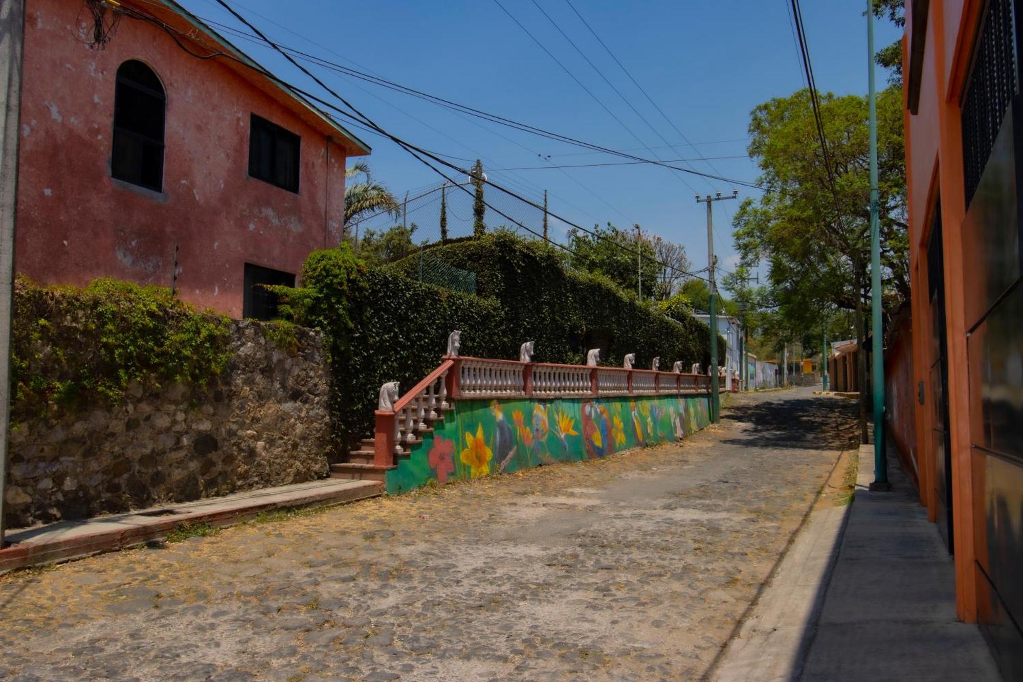 New! Bamboo Rooftop Villa Cuernavaca Ngoại thất bức ảnh